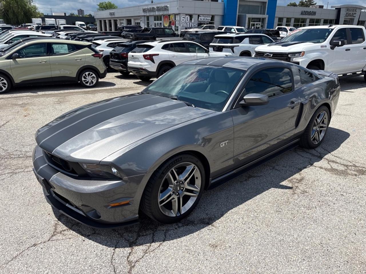 2010 Ford Mustang GT  - Low Mileage Photo
