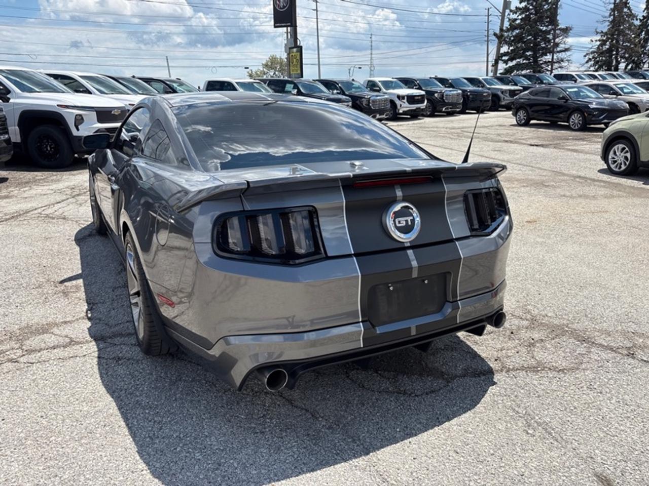 2010 Ford Mustang GT  - Low Mileage Photo
