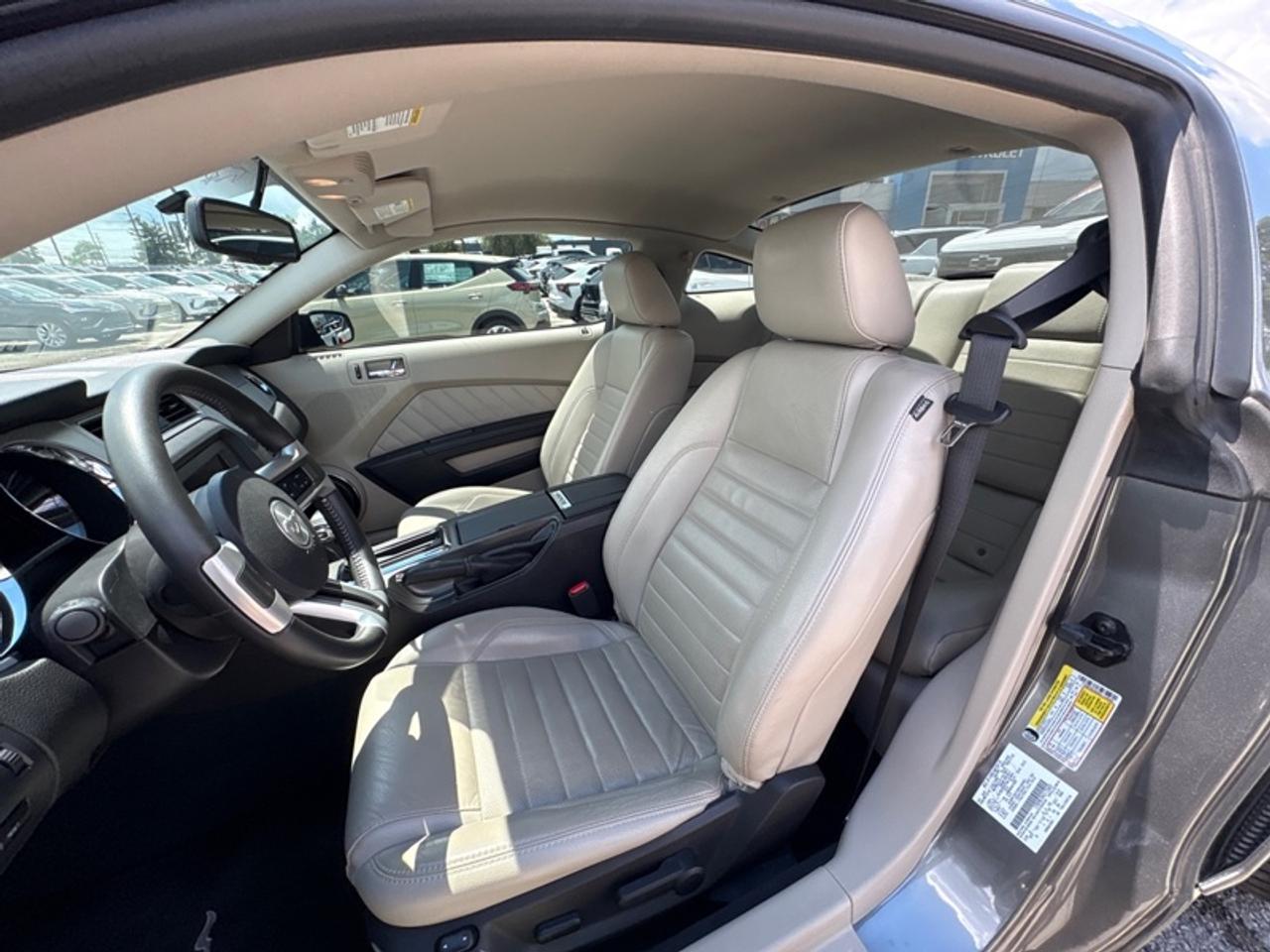 2010 Ford Mustang GT  - Low Mileage Photo