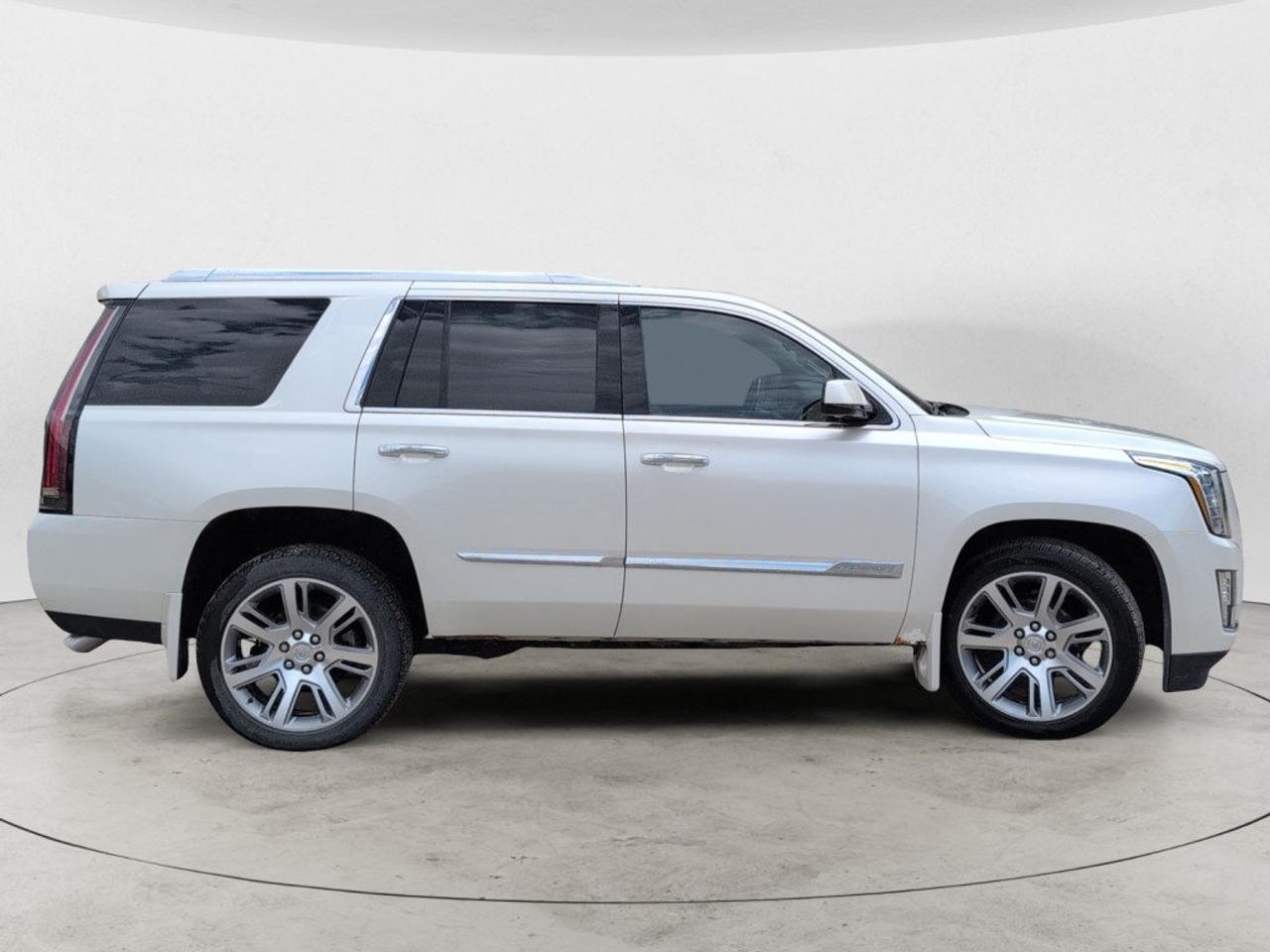 14295404