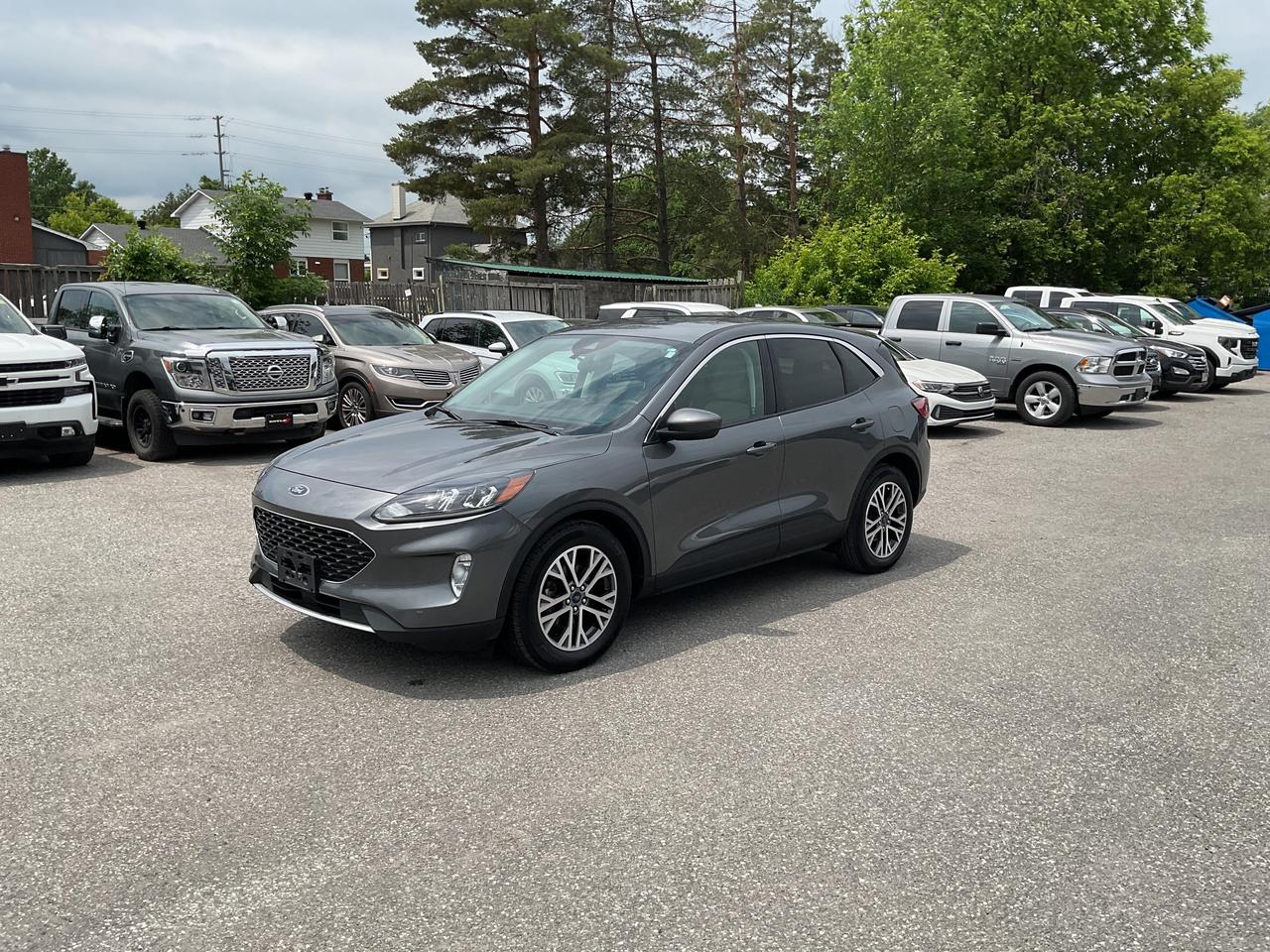 Used 2022 Ford Escape SEL for sale in Kingston, ON
