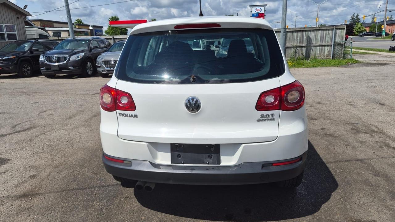 2010 Volkswagen Tiguan TRENDLINE, AUTO, 4 CYL, 4WD, AS IS SPECIAL Photo3