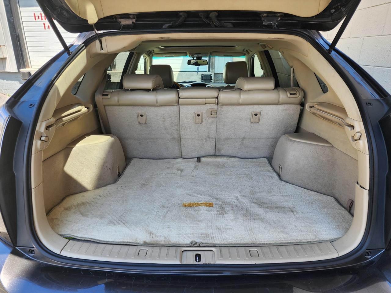 2009 Lexus RX 350 Base Photo