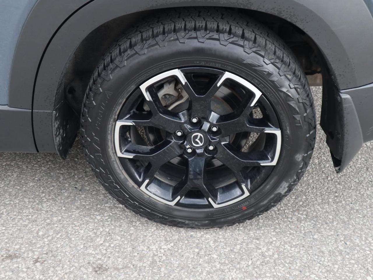 2024 Mazda CX-50 MERIDIAN APEX/ EXTENDED WARRANTY/ 3.95% RATE/ CPO Photo