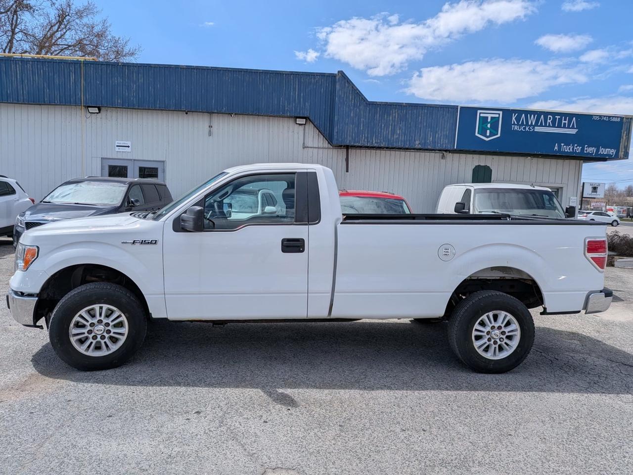2014 Ford F-150 XLT REGULAR CAB LONG BED Photo