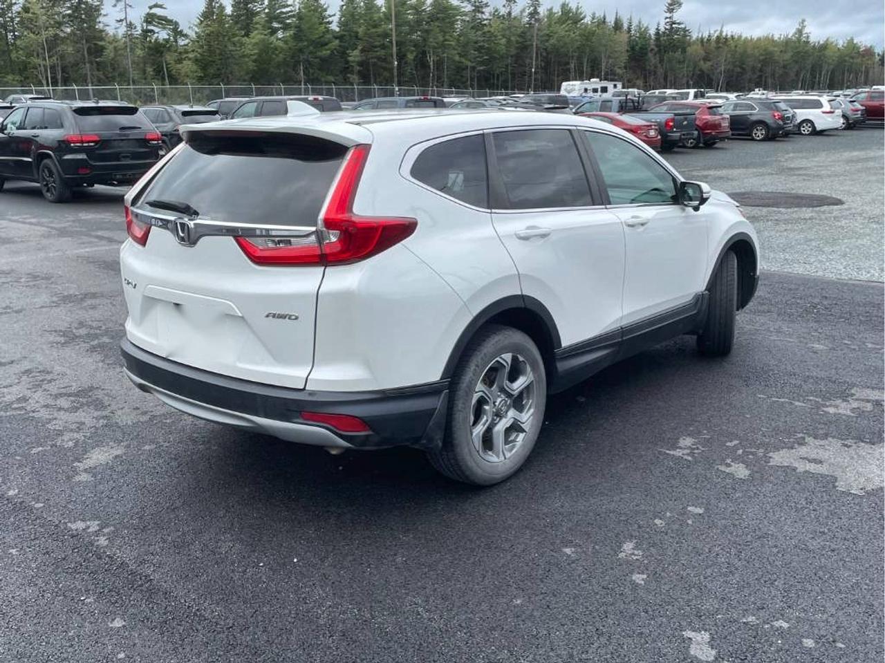 2019 Honda CR-V EX Photo