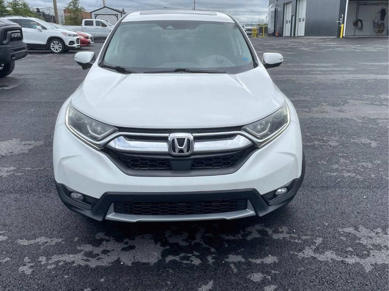 2019 Honda CR-V EX Photo