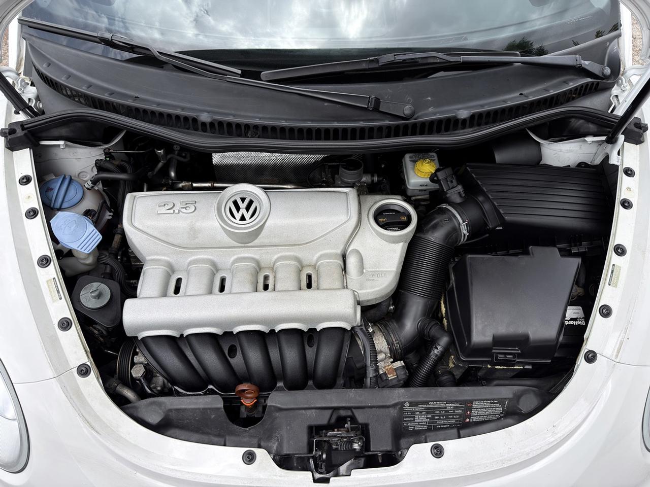 2010 Volkswagen New Beetle Comfortline Convertible Photo