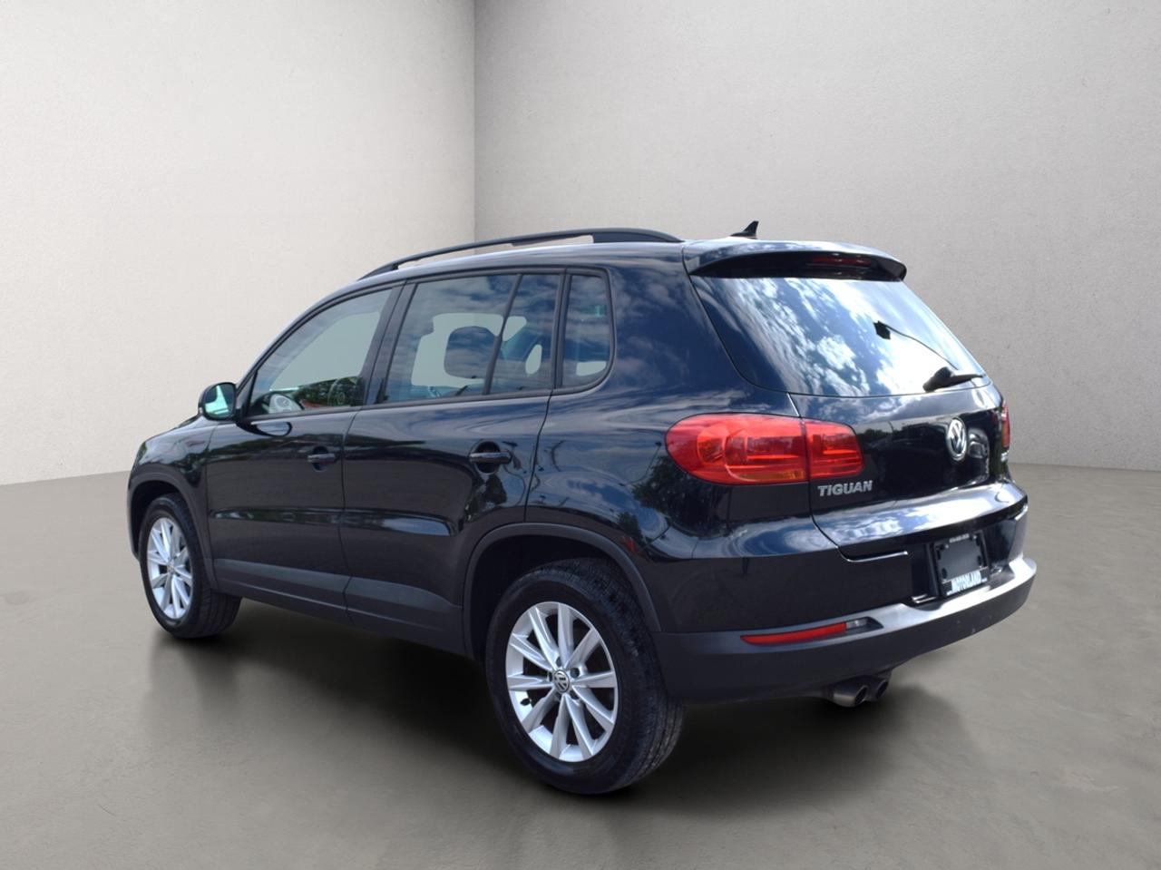 2015 Volkswagen Tiguan S Photo