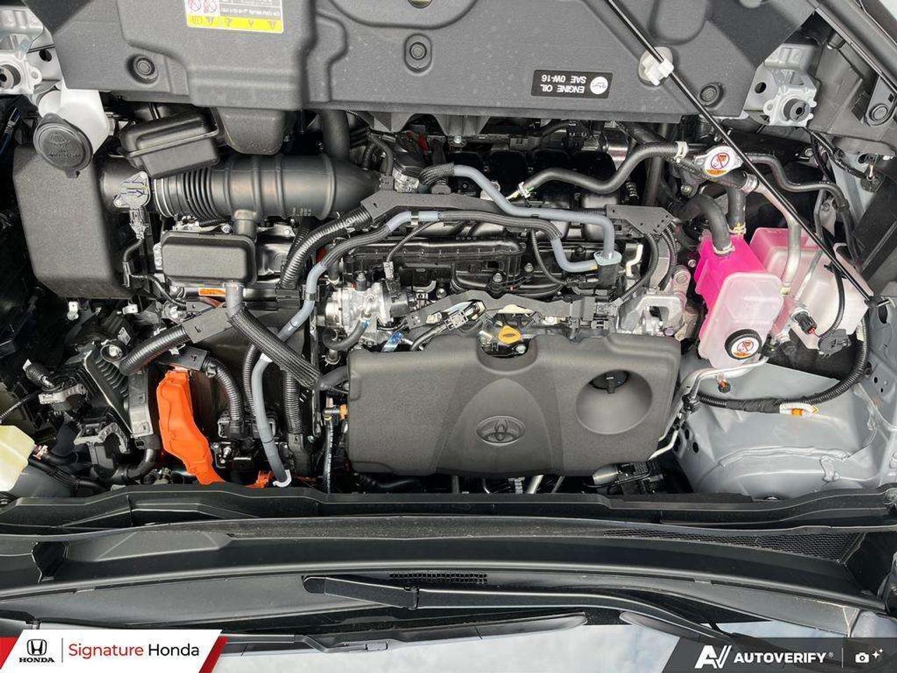2026 Toyota Sienna XSE Photo
