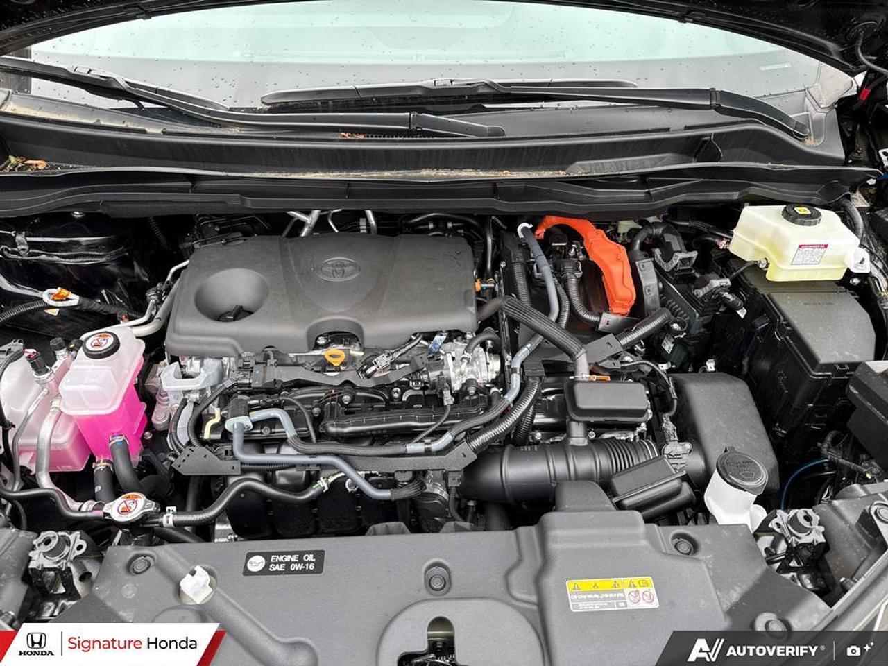 2026 Toyota Sienna LE Photo