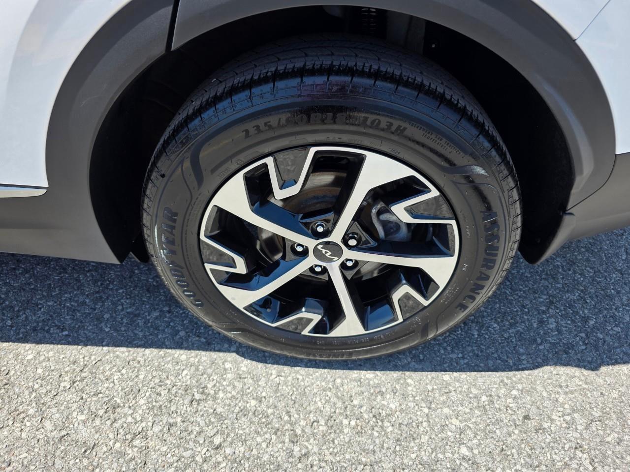 2025 Kia Sportage EX 4dr All-wheel Drive Photo