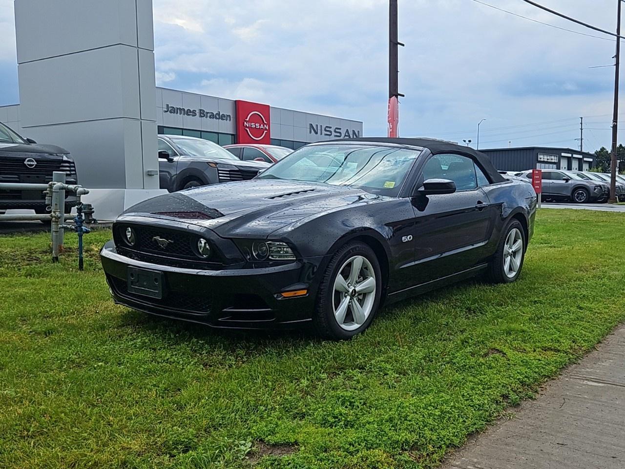 2014 Ford Mustang 2dr Conv GT Photo0