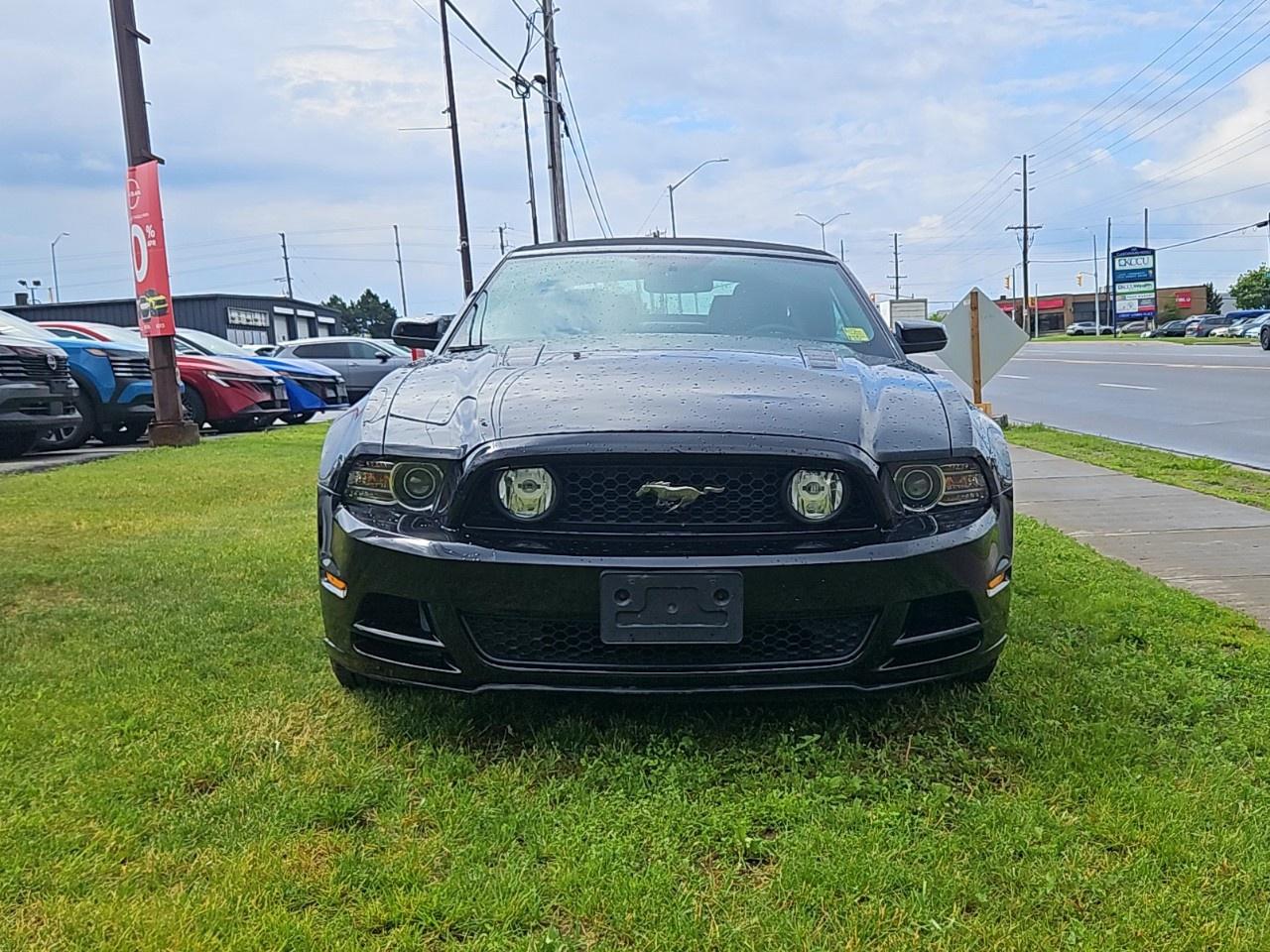 2014 Ford Mustang 2dr Conv GT Photo
