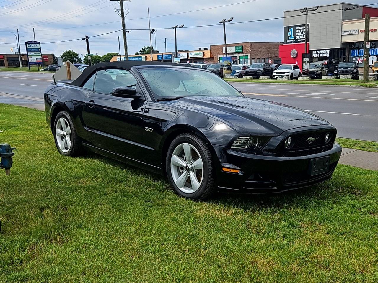 2014 Ford Mustang 2dr Conv GT Photo