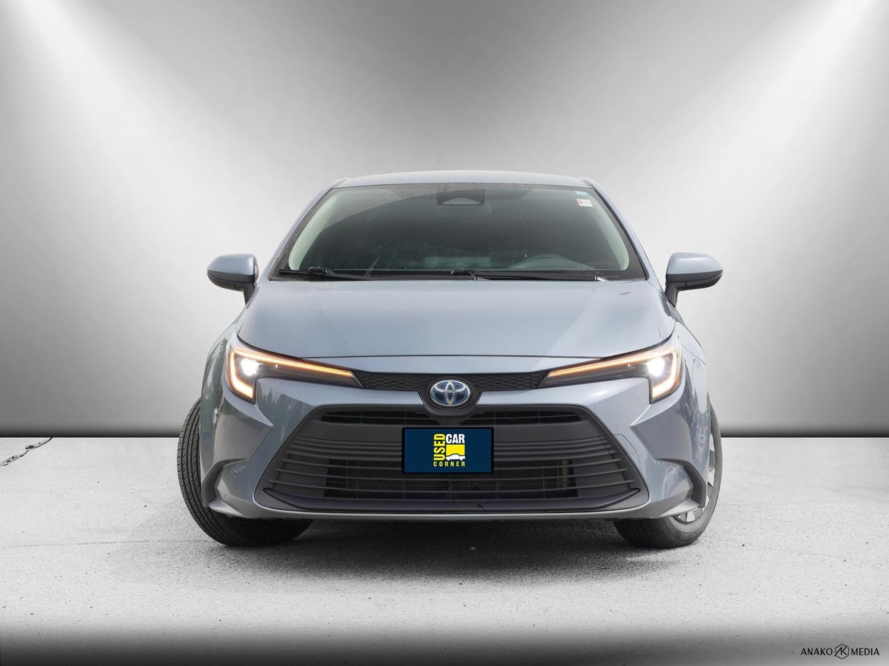 2024 Toyota Corolla  Photo