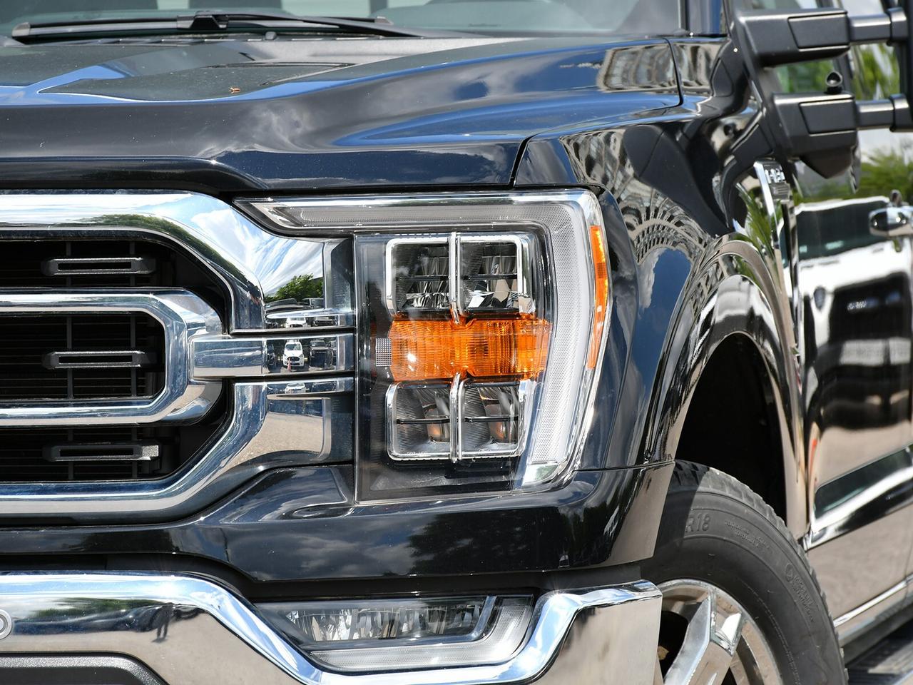 2022 Ford F-150 XLT Photo