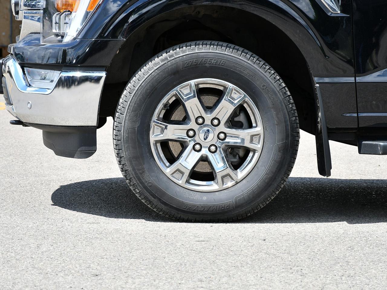 2022 Ford F-150 XLT Photo