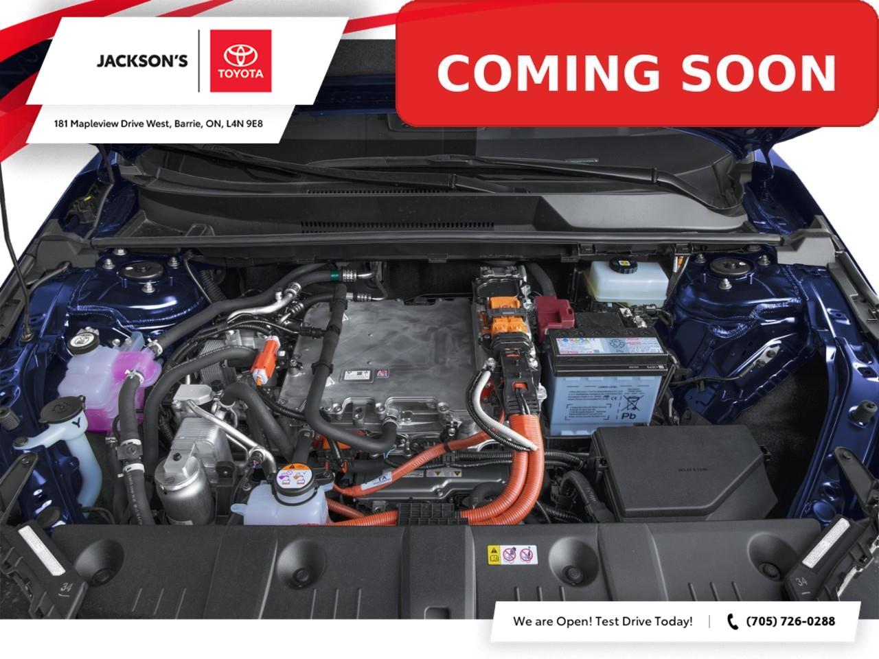 2026 Toyota bZ XLE 4dr All-Wheel Drive Photo