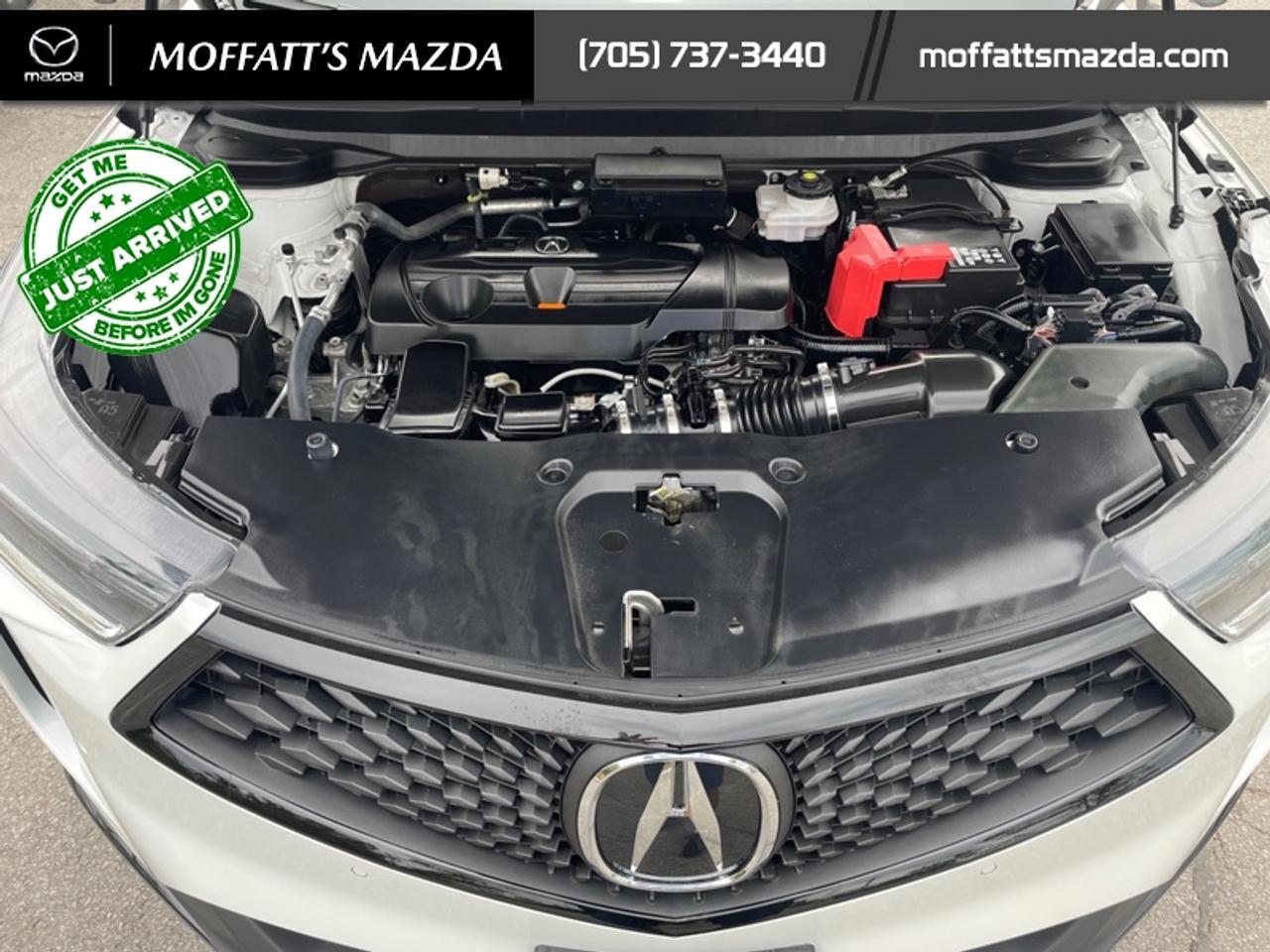 2024 Acura RDX A-Spec Photo
