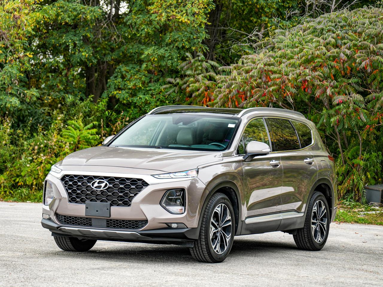 2019 Hyundai Santa Fe Ultimate Photo