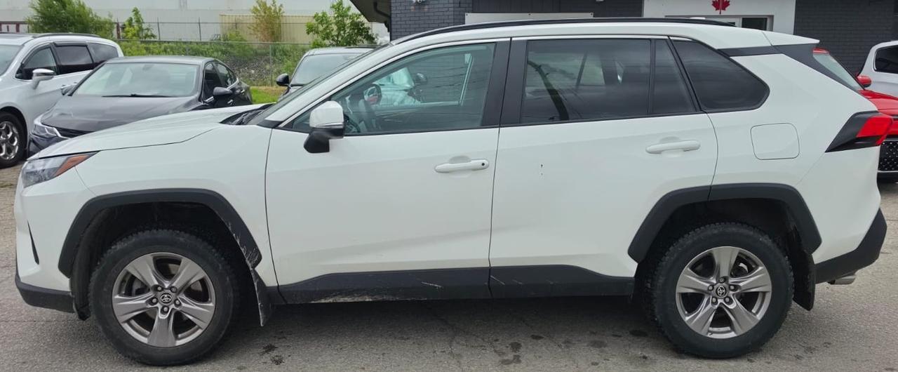 2024 Toyota RAV4 XLE / NO ACCIDENTS / ONE OWNER / ROOF / AWD Photo