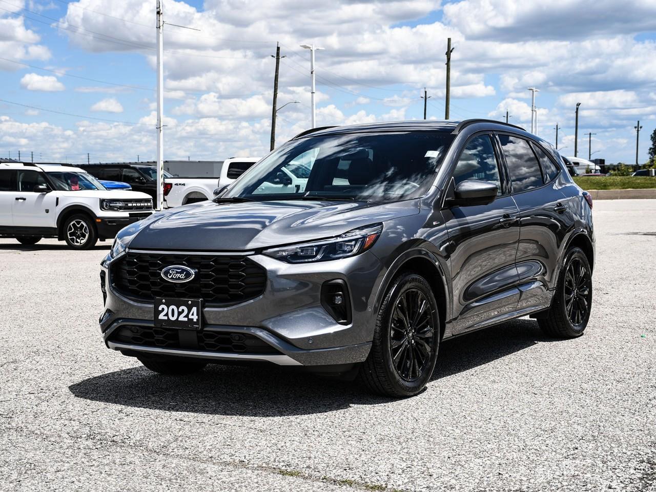 2024 Ford Escape ST-Line Elite Photo