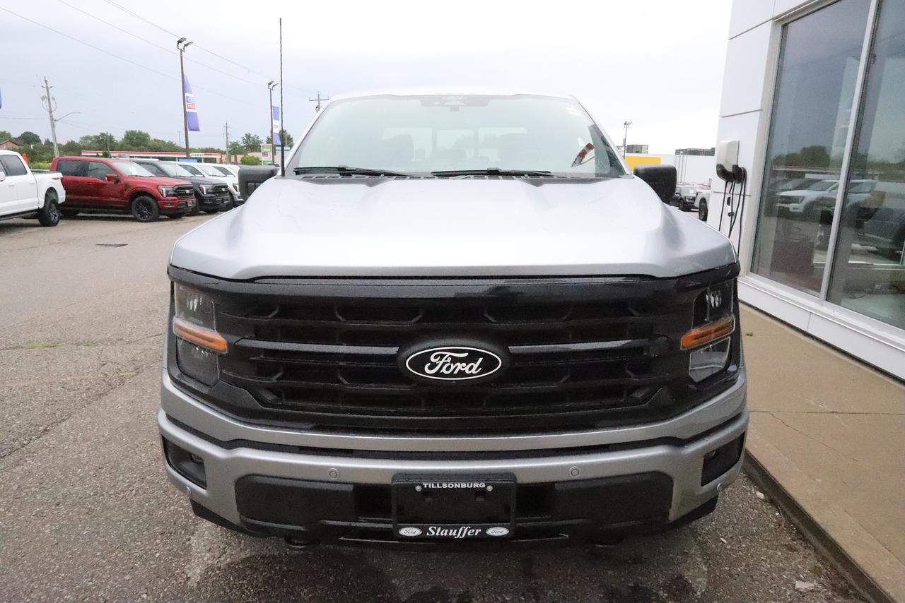 2026 Ford F-150 XLT 4WD SuperCrew 5.5' Box Photo