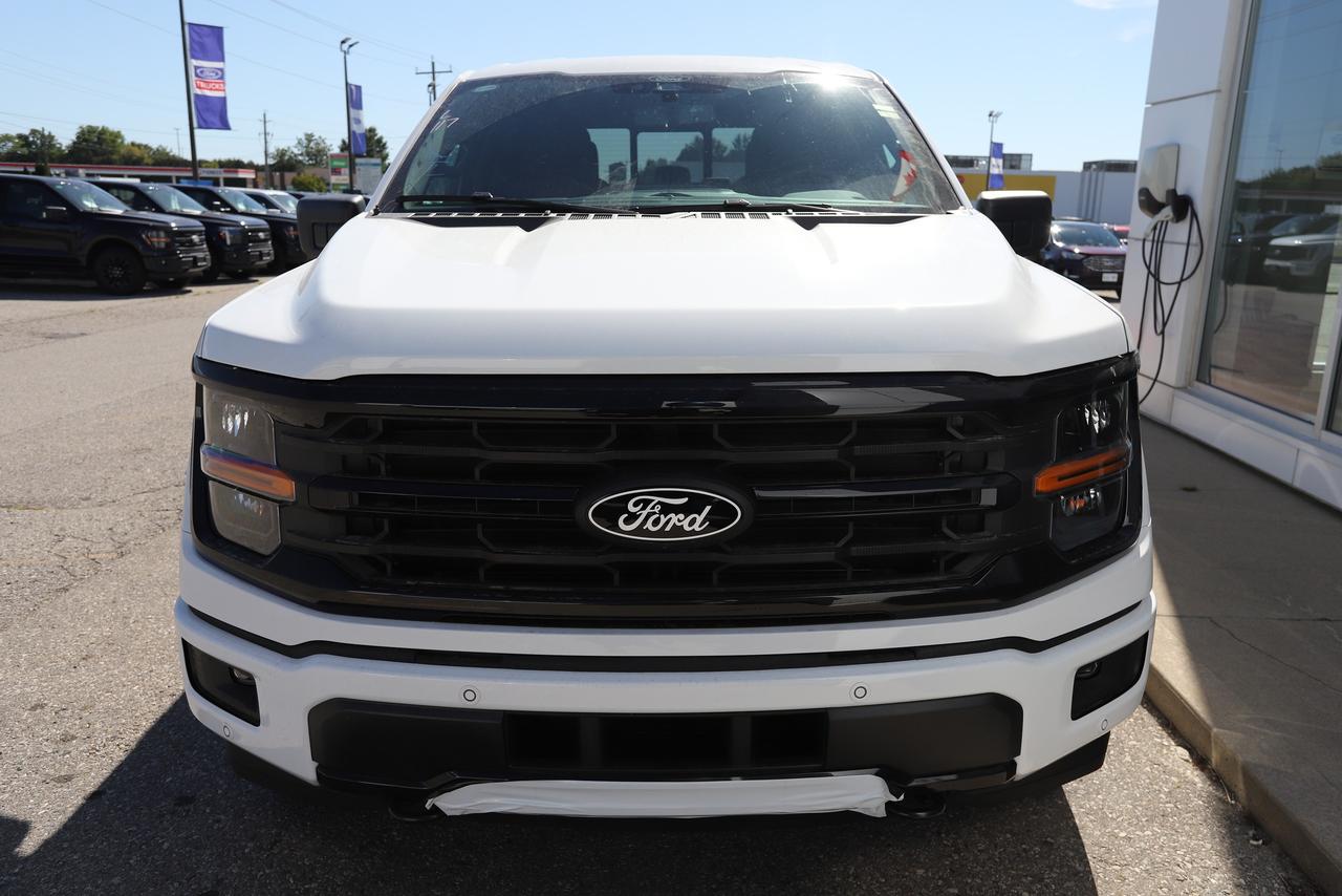 2026 Ford F-150 XLT 4WD SuperCrew 5.5' Box Photo