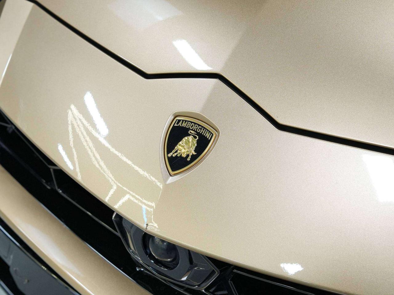 2022 Lamborghini Urus HUD | 22 IN Photo
