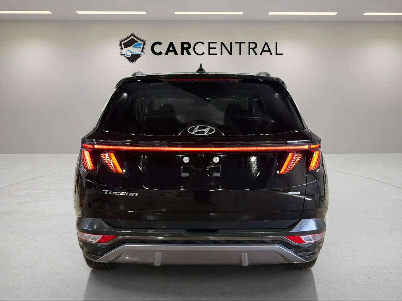 2024 Hyundai Tucson TREND | AWD | LEATHER | ROOF | CLEAN CARFAX | Photo