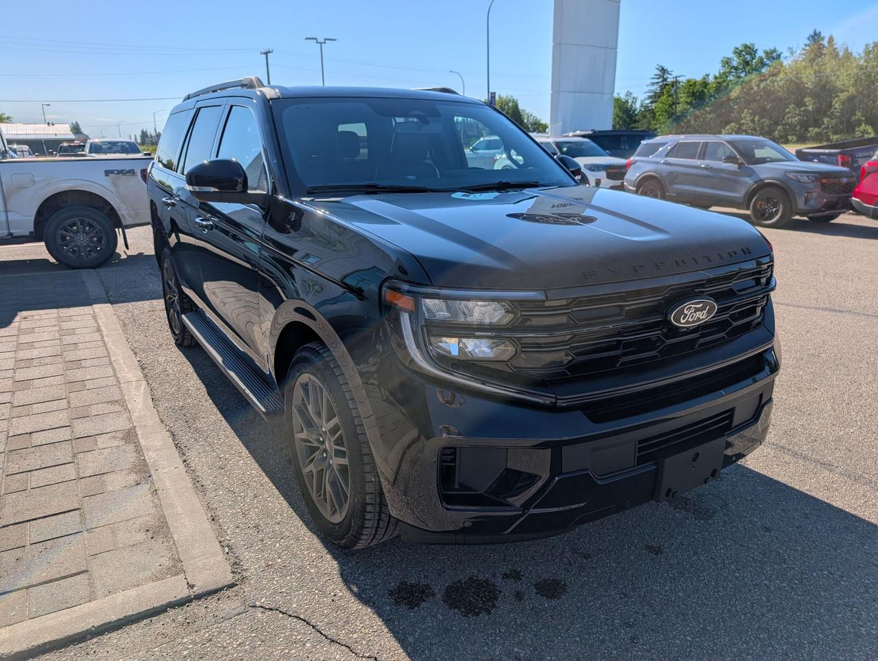 2026 Ford Expedition Platinum Photo3