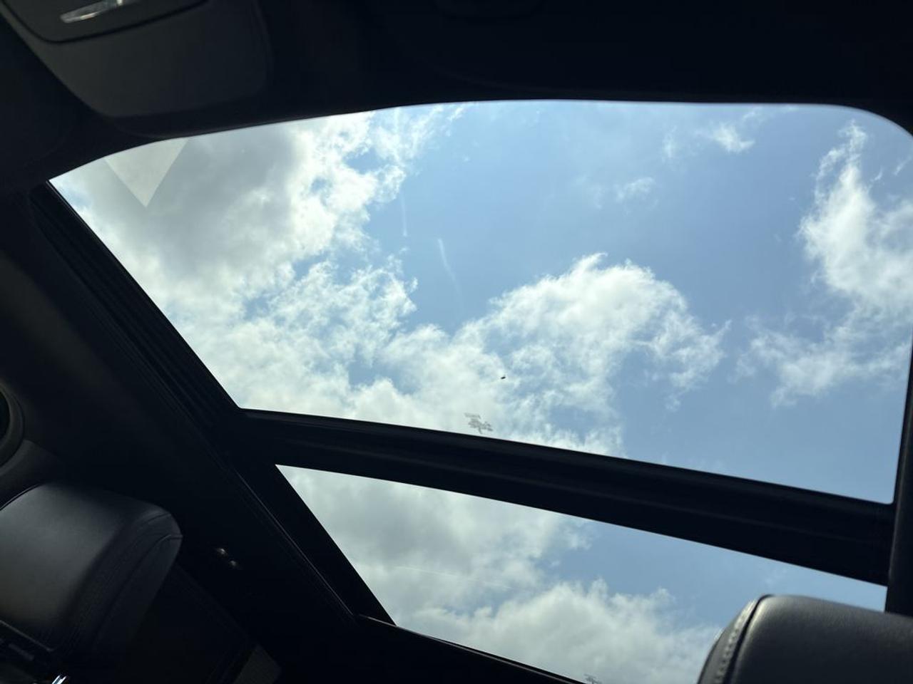 14303819