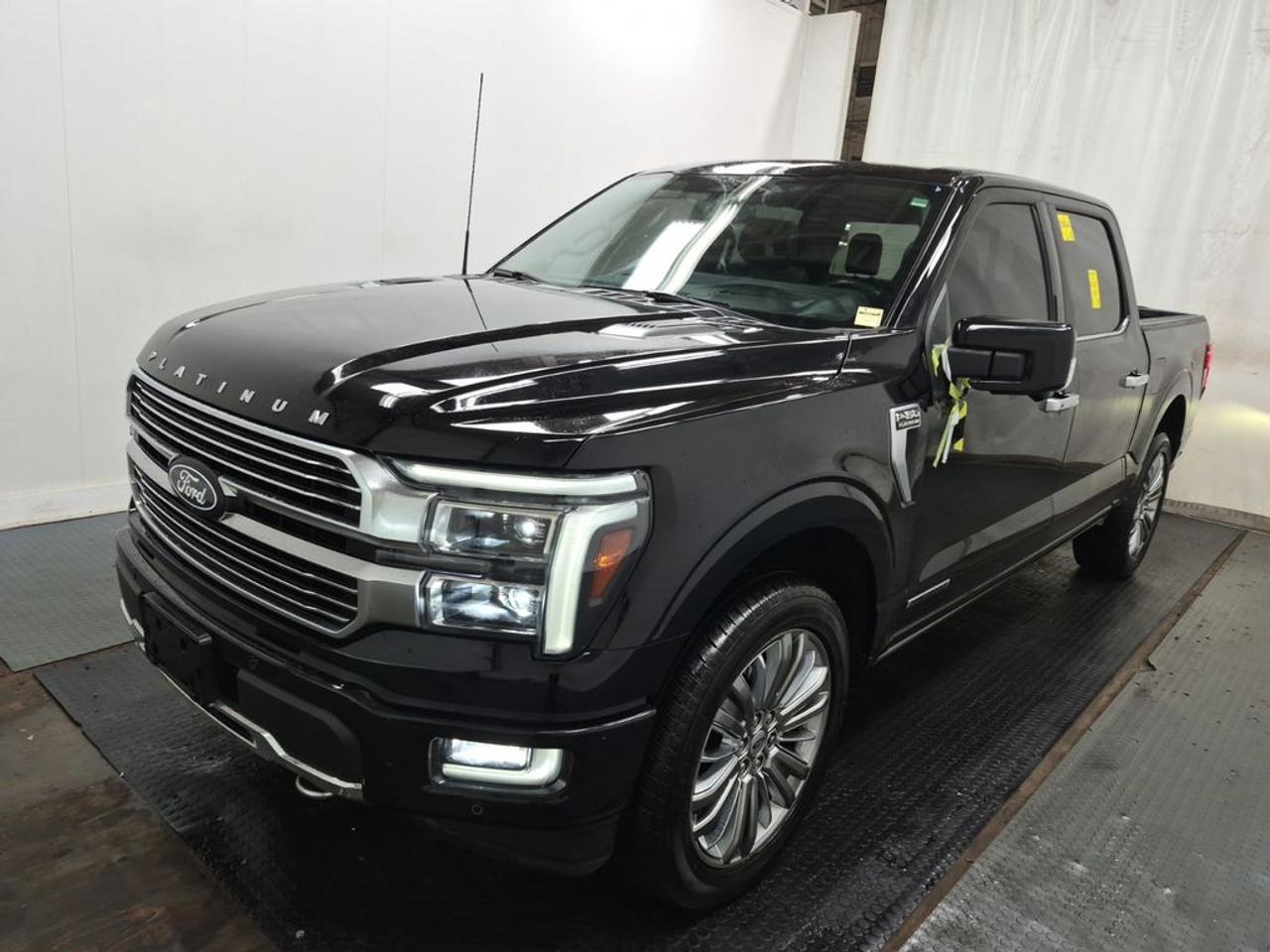 2024 Ford F-150 Platinum Photo0