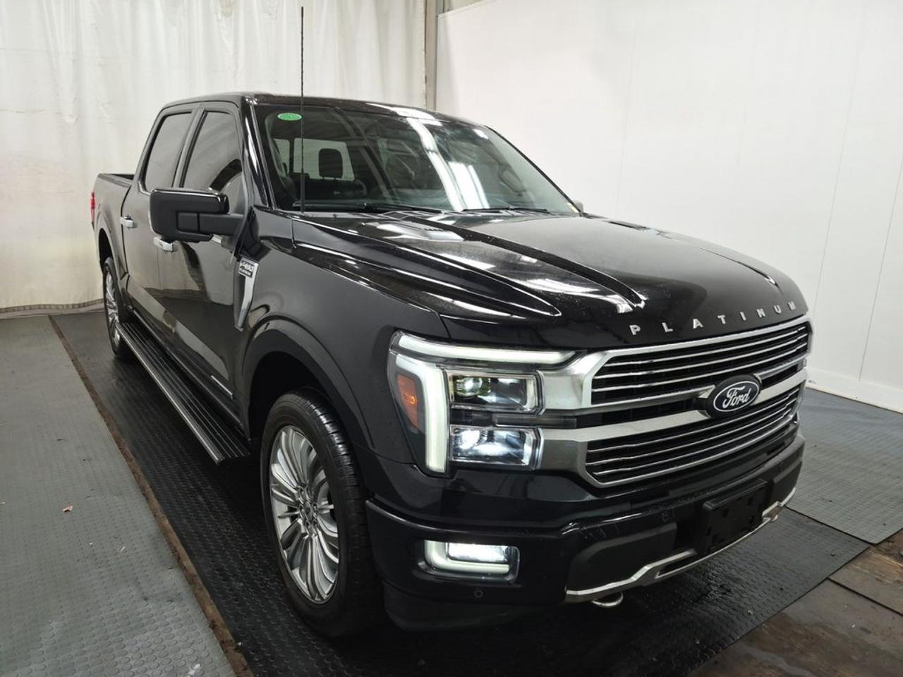2024 Ford F-150 Platinum Photo1