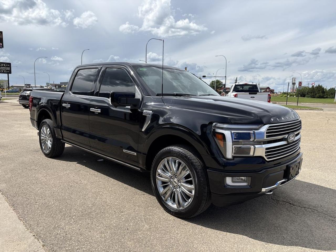 2024 Ford F-150 Platinum Photo0