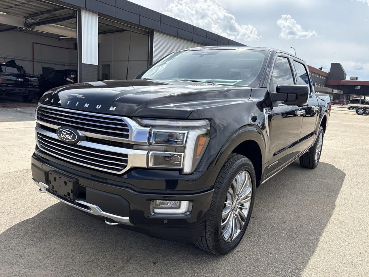 2024 Ford F-150 Platinum Photo1