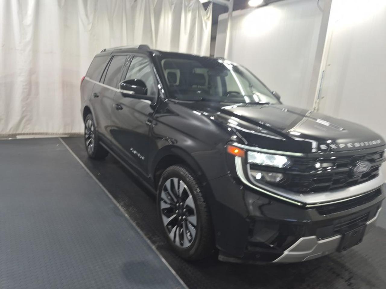2025 Ford Expedition Platinum Photo1