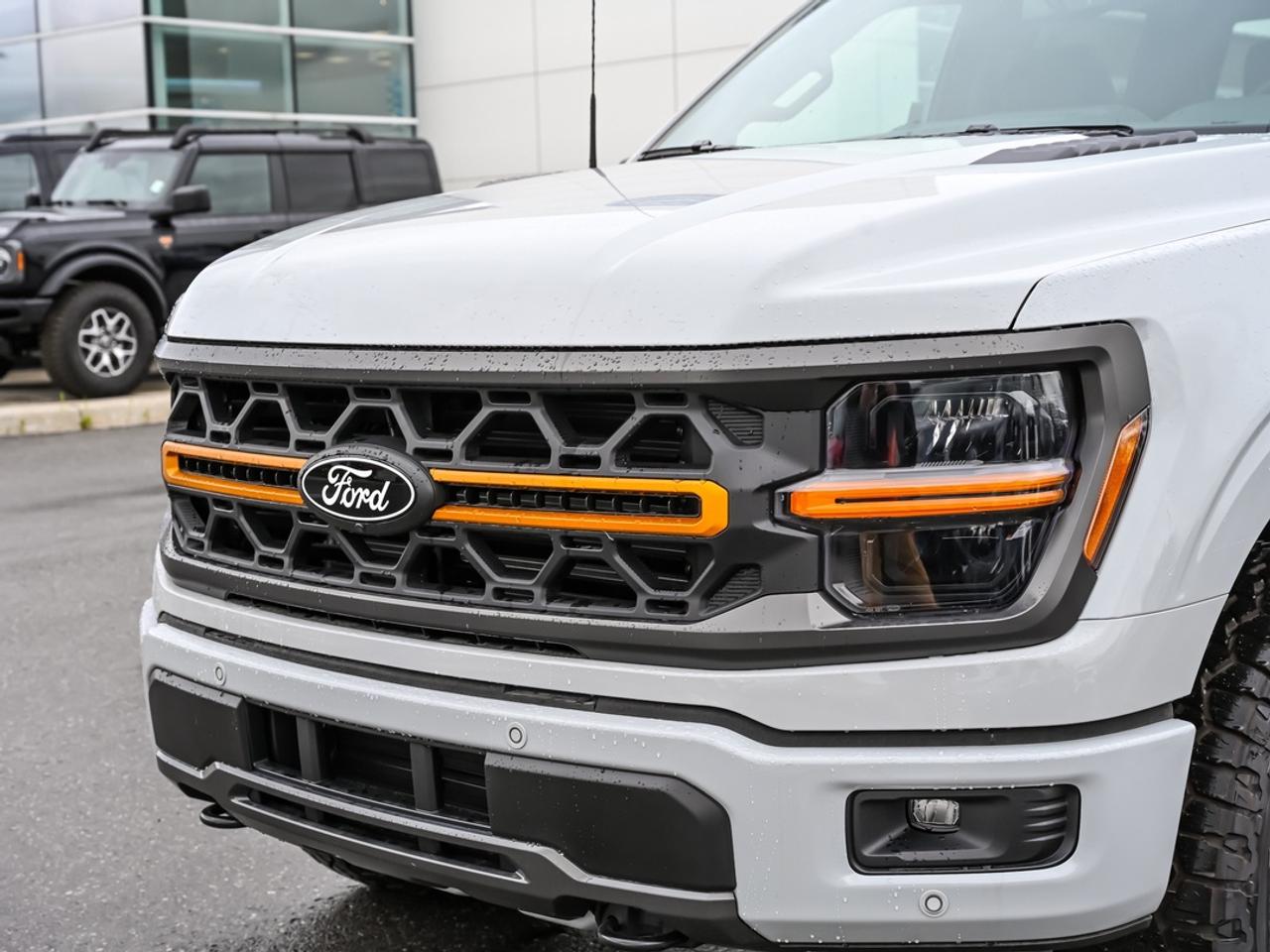 2026 Ford F-150 Tremor Photo
