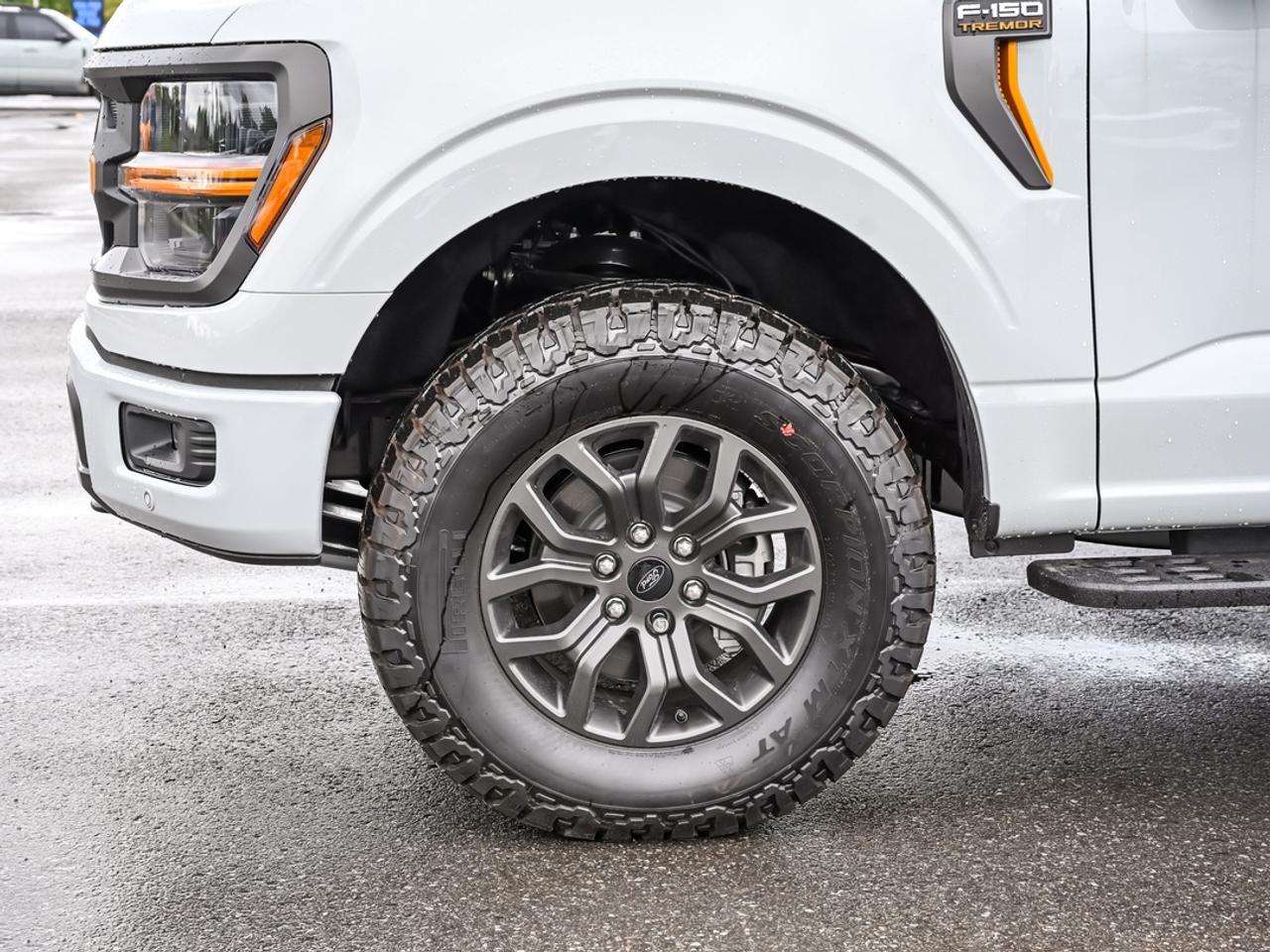 2026 Ford F-150 Tremor Photo