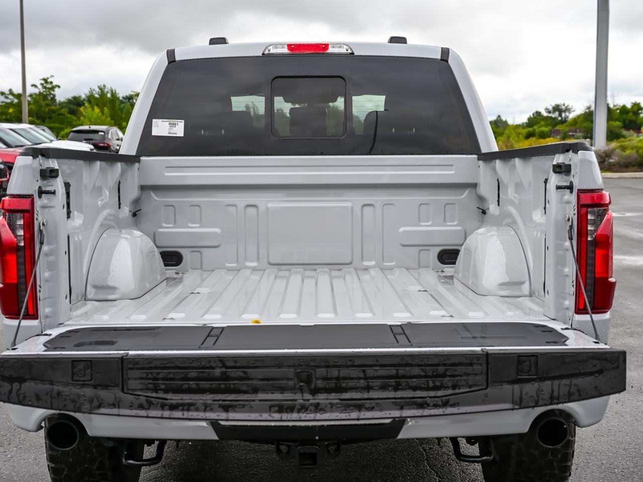2026 Ford F-150 Tremor Photo