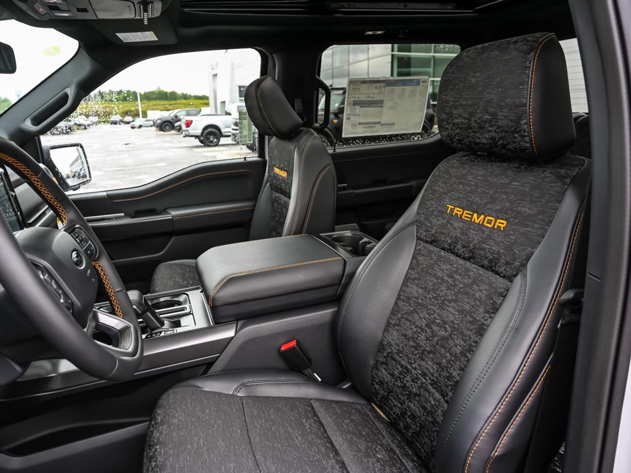 2026 Ford F-150 Tremor Photo