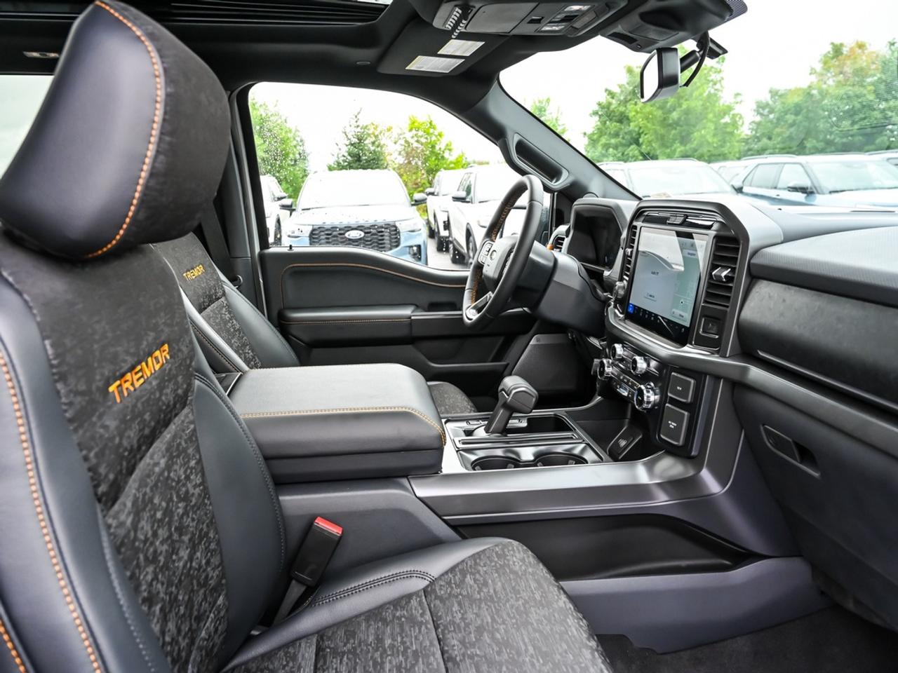 2026 Ford F-150 Tremor Photo