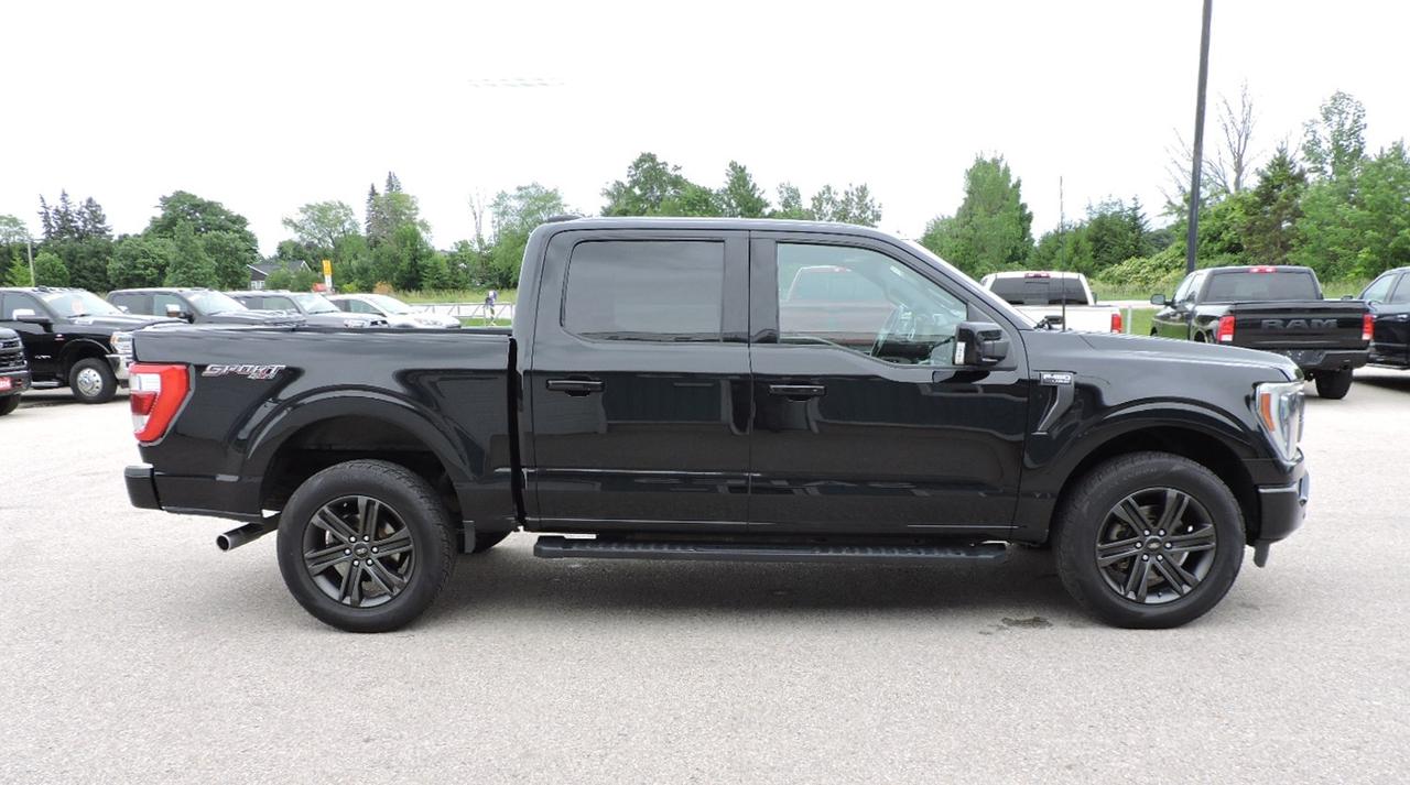 2022 Ford F-150 LARIAT 5.0L 4X4 Sunroof Navigation Loaded 121000KM Photo