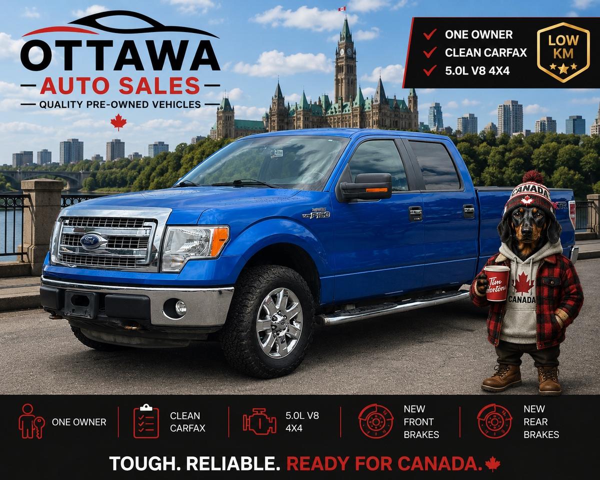 2013 Ford F-150 XTR Photo