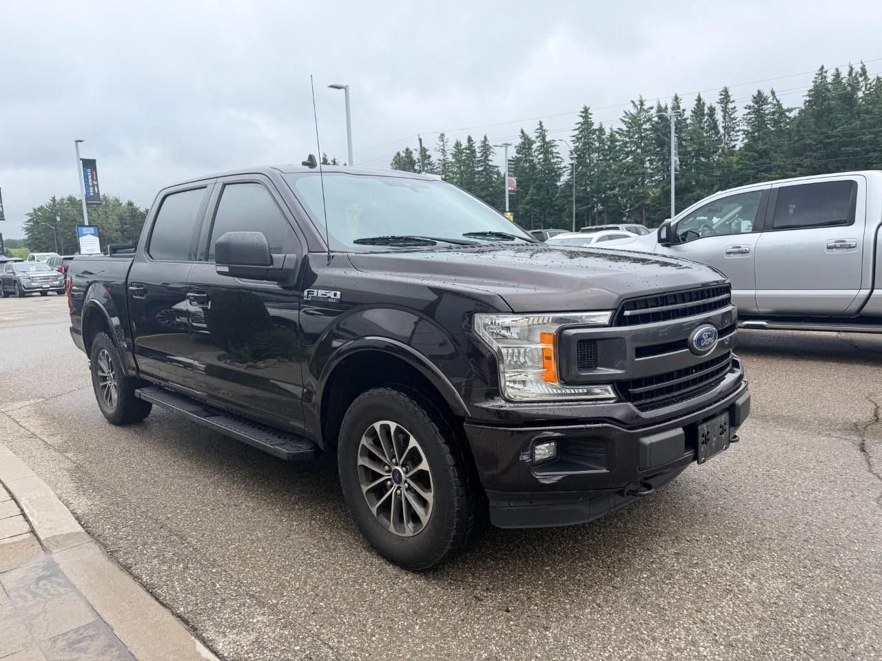 2019 Ford F-150 XLT 4WD SuperCrew 5.5' Box Photo