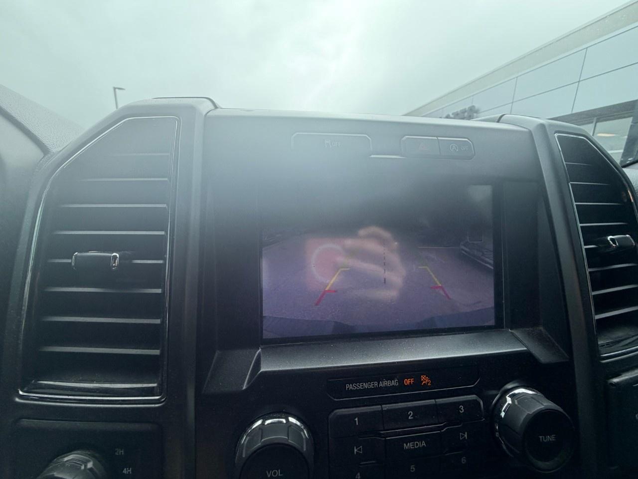2019 Ford F-150 XLT 4WD SuperCrew 5.5' Box Photo