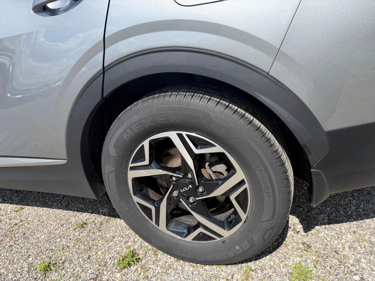 2024 Kia Sportage LX 4dr Front-wheel Drive Photo