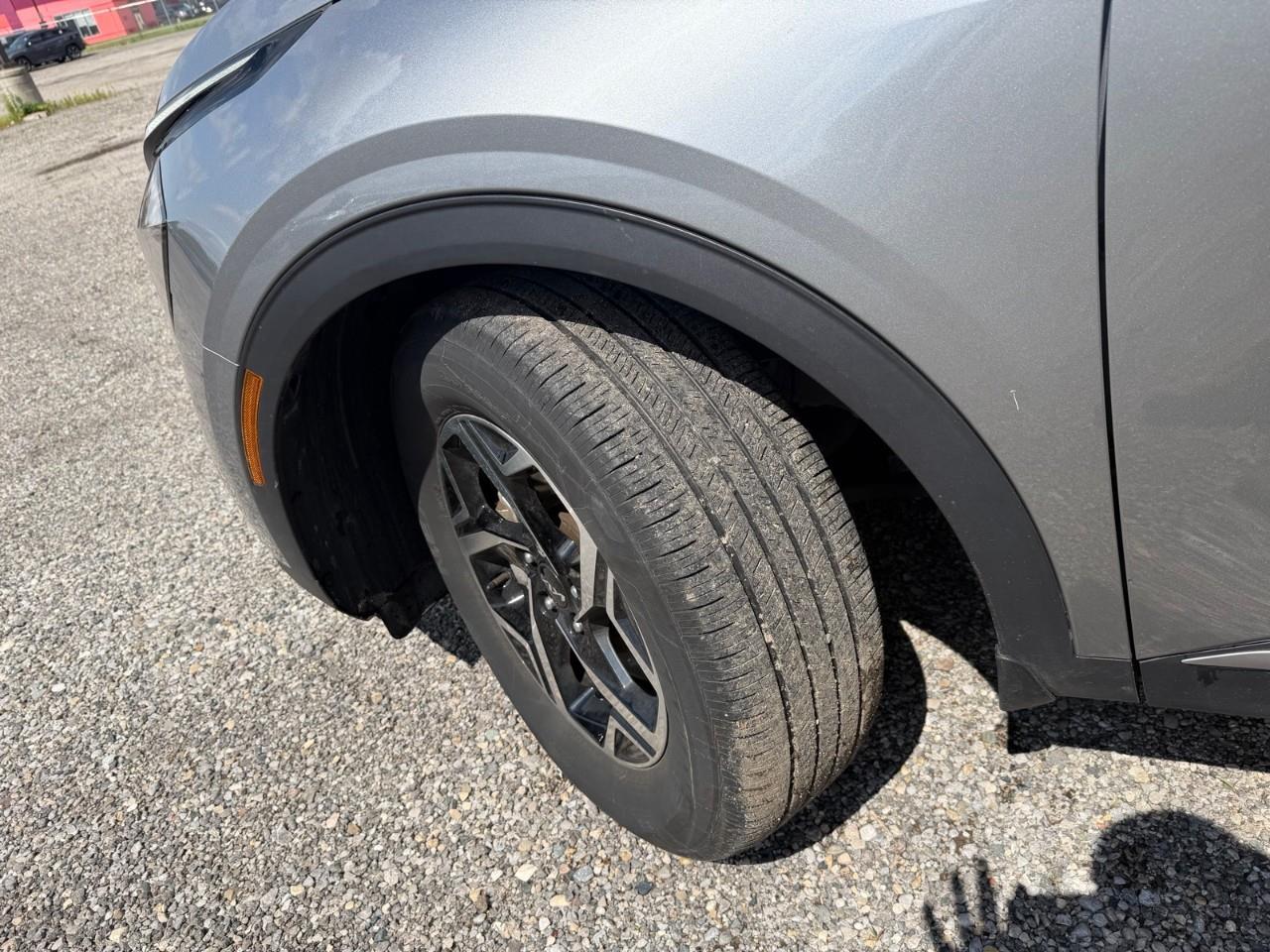 2024 Kia Sportage LX 4dr Front-wheel Drive Photo
