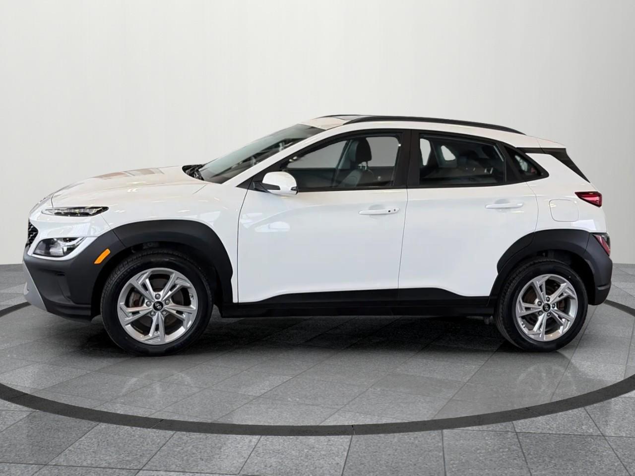 2023 Hyundai KONA 2.0L Preferred Sun & Leather Package 4dr All-Wheel Drive Photo